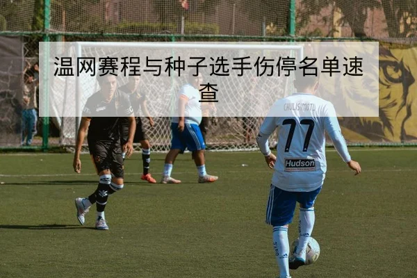 英超球队伤停名单对赛程影响速查