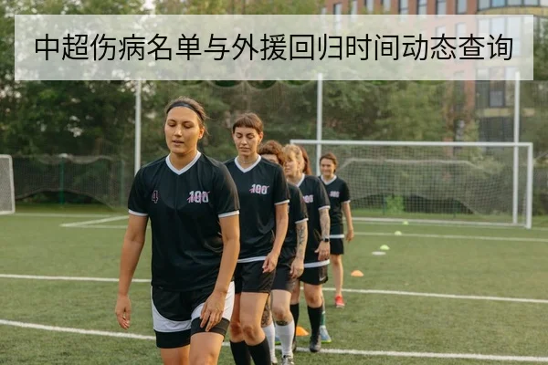 中超伤病名单与外援回归时间动态查询