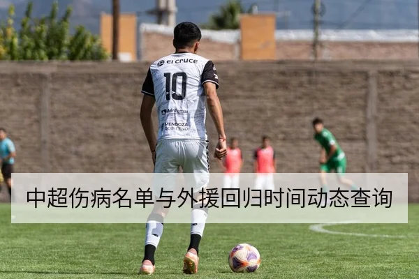 中超伤病名单与外援回归时间动态查询