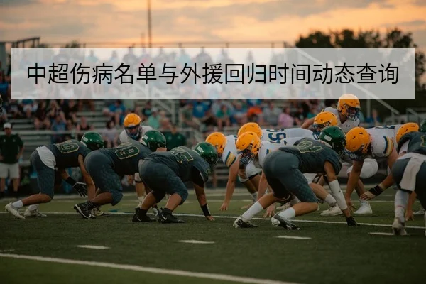 中超伤病名单与外援回归时间动态查询